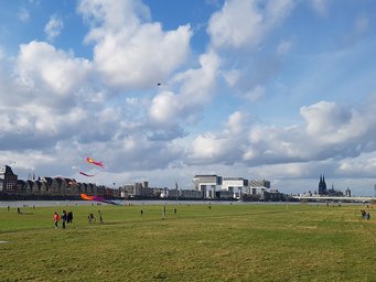 Köln-Panorama mit Dom und Kranhäusern Köln Panorama, Wiese im Vordergrund, Spaziergänger, Rhein, dahinter Kranhäuser und Dom, blauer Himmel und Kumuluswolken