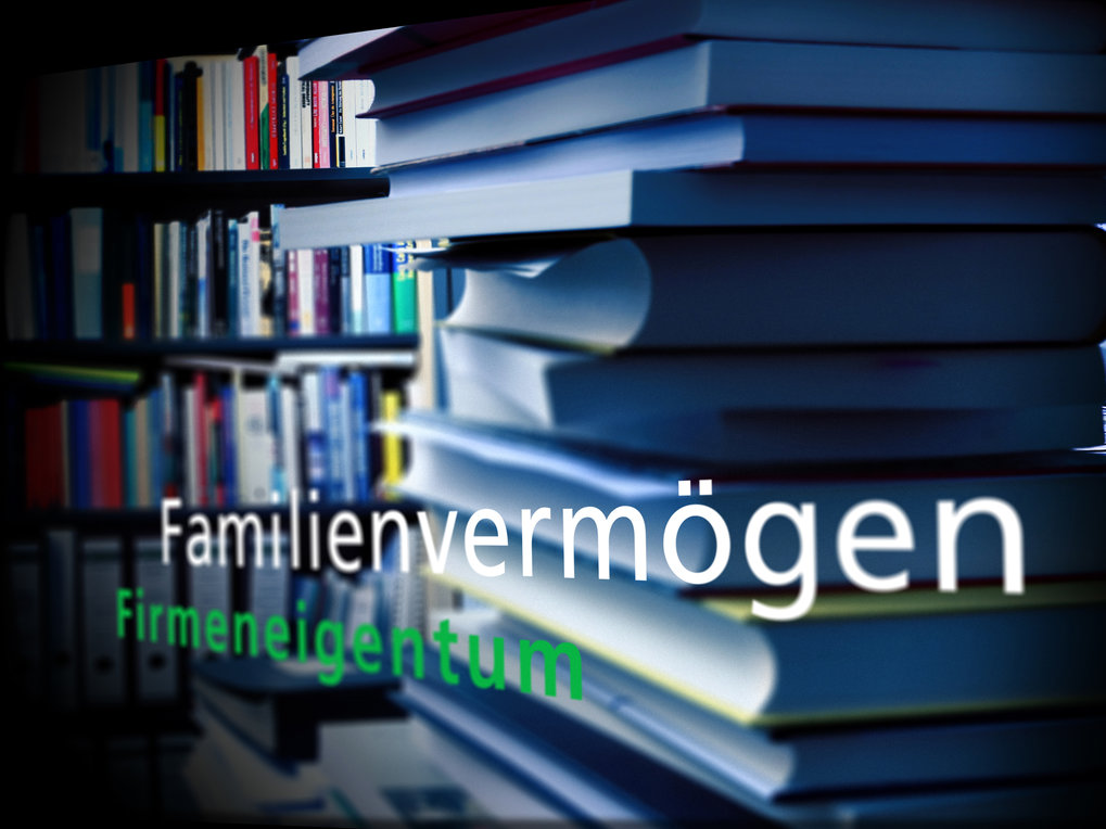 Unternehmen, Eigentum und Familienvermögen