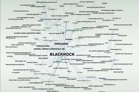 Infografik Blackrock