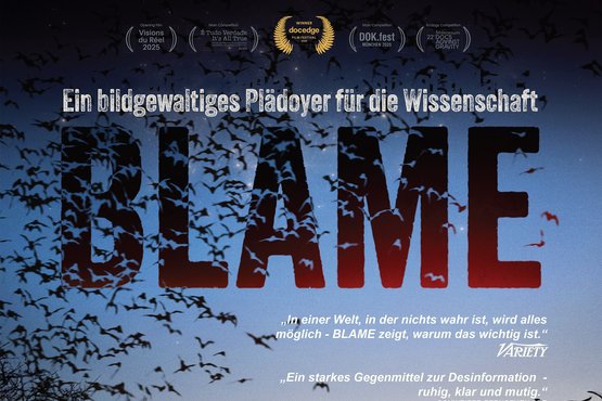 Filmposter mit dem Titel "Blame"